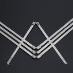 Heavy Duty Stainless Steel Cable Ties Self Locking 10 Inch Zip Ties 50pcs / Pkt