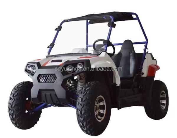 60V 40Ah Electric UTV Utility Vehicle for Farm Go Cart ATV Differential Lock