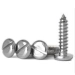 DIN7971 Metric Stainless Steel Slotted Pan Head Security Self Tapping Screw ST2