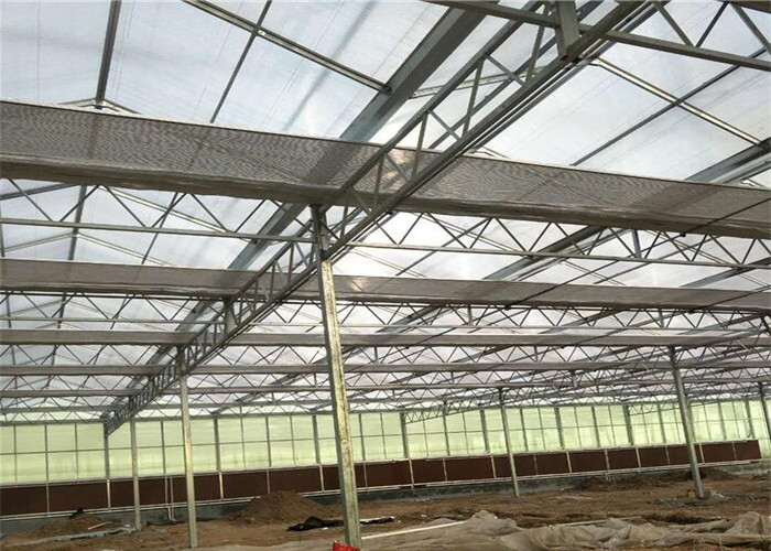 Shouguan Brand Greenhouse Shading Systems Large Size Shading Net Highly Durable