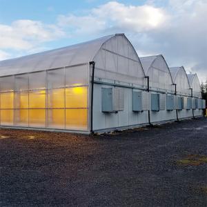 Wholesale Multi-Span Venlo PC Sheet Polycarbonate Tunnel Greenhouse Blackout Light Dep from china suppliers