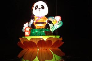 Wholesale Colorized Fabric Chinese Lanterns 110V / 220V Powered With Cute Panda Design from china suppliers