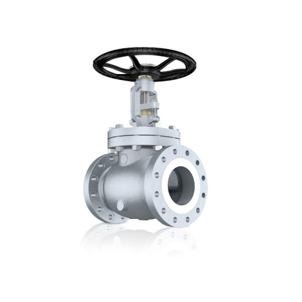 3/4'' SS304 PN40 Stainless Steel Globe Valve High Temperature Plus Globe