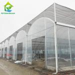 Galvanized Steel Plastic Film UV Resistant Agricultural Multi-span Greenhouse