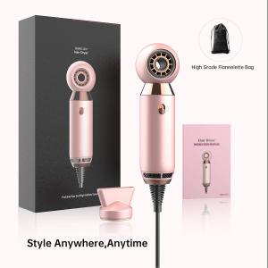 Wholesale 20*5cm Mini Moisturizing Electric 800W Portable Hair Blower from china suppliers