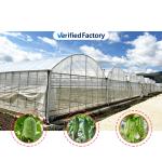High Intensity Multi-span Arch Plastic Film Greenhouse Hot Dip Galvanized Steel