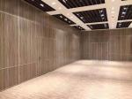 Sliding Acoustic Wall Panels , Office Great Hall Wooden Partition Wall For