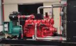 Remote Start 1250kva Natural Gas Generator Set with 100% Pure Copper Brushless