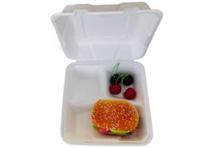Wholesale Biodegradable compostable bagasse 8inch compartment lunch paper boxes for fast food for restaurant and party use from china suppliers