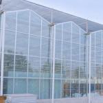 JX-Glass Green House Hot-DIP Galvanized Steel Pipe Structure for Agriculture