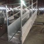 Galvanized Livestock Equipment Adjustable Cattle Sheep Loading Ramp