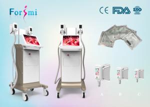 Wholesale portable cryotherapy equipment 3.5 inch Cryolipolysis Slimming Machine FMC-I Fat Freezing Machine from china suppliers