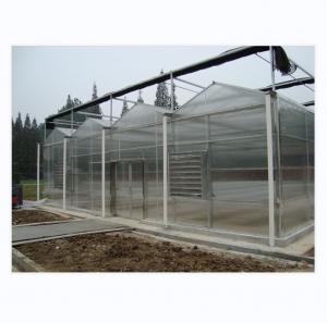 Wholesale 8m 9.6m 12m Span Width Agriculture Greenhouse For Hybrid Tomato Seeds And Vegetables from china suppliers