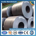 304 316L Hot/Cold Rolled/Stainless/PPGI PPGL Gi/Color Coated/Tinplate/Galvanized