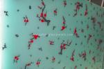 Decorative Colored Silk Screen Printing Glass Sheets , High Temperature