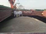 Wheat Gluten pellet for feed nutrition ingredient for eel, shrimp, salmon
