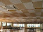 15/20/25mm Thickness Square Edge Wood Wool Sound Acoustic Ceiling Best in the