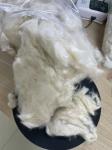 Strong and Durable Sustainable Kapok Fiber