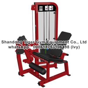 Wholesale Single Station Gym fitness equipment machine Leg Extension exercise machine from china suppliers