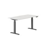 Double Motor Electric Up Lift Desk for Customized Leisure Sit and Stand 80 kgs 2