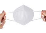 Daily Protection Earloop Face Pm2.5 KN95 Filter Mask