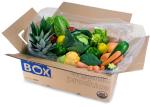 CORRUGATED CARTON FRUIT BOX