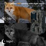 Trail Hunting Camera 20MP 1080P Wildlife Camera Waterproof IP67 Game&trial