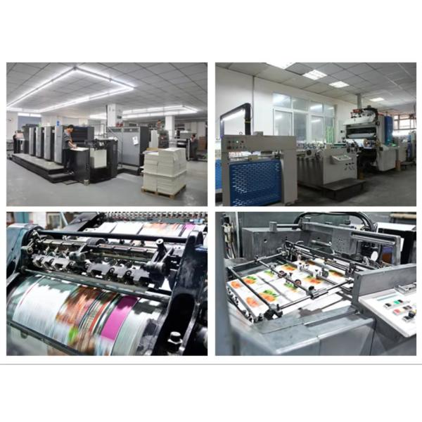 Postal-Compliant Cardboard Envelope Mailer Impact-Resistant Recyclable & Eco-Friendly