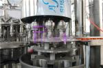 Monoblock 3 in 1 10000BPH Pet Bottle Tea Hot Filling Machine