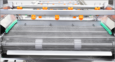 Automatic Conveyor Belt Fruit Vegetable Washer 1000kg/H Custom Hotels