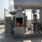 Animal Body Pet Incinerator Customized Livestock Incinerator