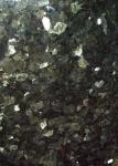 Emerald Green / Star Green Granite Stone Floor Tiles Big Slabs Granite Tiles For