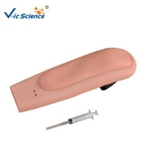Wholesale Wearable Intramuscular Injection 8kgs Medical Training Model from china suppliers