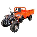 800 1000W 2 Cylinder Water-Cooled ATV 250CC 4X4 Off Road Buggy with Cargo