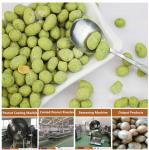 Fish Skin Peanut Coating Machine SUS304 Cashew Coating Machine