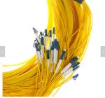 SM 9/125 G652D (OS2) LSZH 12 Fibers LC/UPC-LC/UPC Fibre Optic Breakout Cables 1M