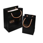 PMS Non Woven Paper Bag
