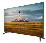 Standard Bezel 43 Inch Mini LED TV WebOS Smart Update For Meeting Room
