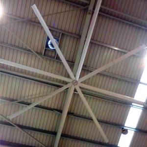 Wholesale AWF49 Large Outdoor Ceiling Fans , High Volume Low Speed Industrial Fans from china suppliers