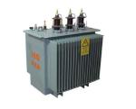 S11 series 11KV Oil Immersed Transformer Amorphous Alloy Core Oil-immersed