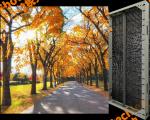 IP65 Transparent LED Video Board 1000mm X 1000×85mm for Outdoor Advertising