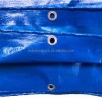 2024 PE Tarpaulin Stripe HDPE Fabric Waterproof Blue Poly Tarp for Outdoor