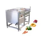 Joyshine Machinery 1.5kw Brush Roller Onion Tomato Skin Peeling and Washing