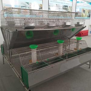 Wholesale 12 Moms Farm Rabbit Cage Hot Dipped Galvanized Wire Mesh from china suppliers