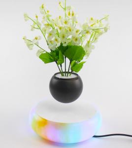 Wholesale colorful led light magnetic levitation air bonsai plant pot tree succulent from china suppliers