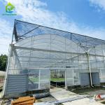 Galvanized Steel Plastic Film UV Resistant Agricultural Multi-span Greenhouse