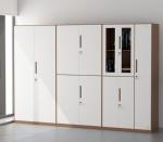 High Quality Steel Glass Door Office Furniture Modern Horizontal File Cabinet