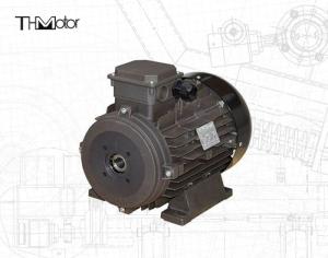 Wholesale Power Hollow Shaft/Solid Shaft IP54/IP55 Voltage DC Motor for Industrial Applications from china suppliers
