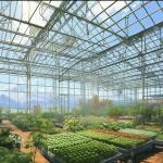 High Light Transmission Glass Greenhouse for Vegetables Return refunds Up to 30