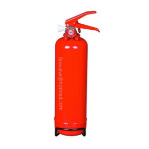 Wholesale Dry Powder Fire Extinguisher 1kg from china suppliers